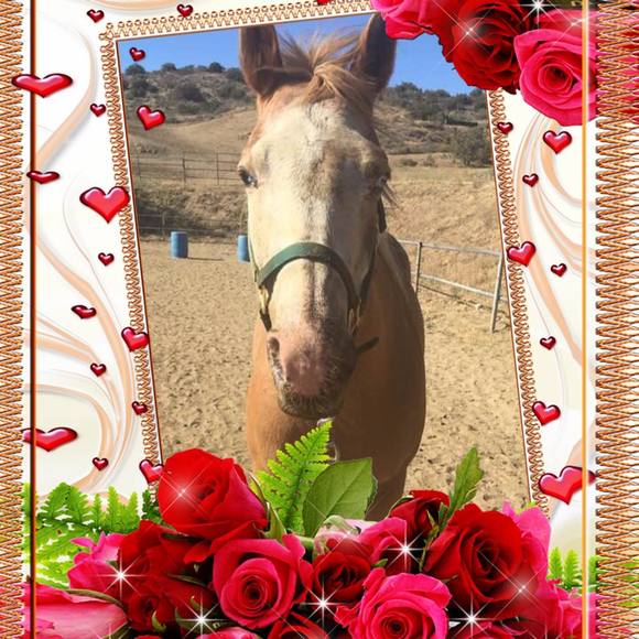 Meet your Posher, Lynn - Picture 1 of 1